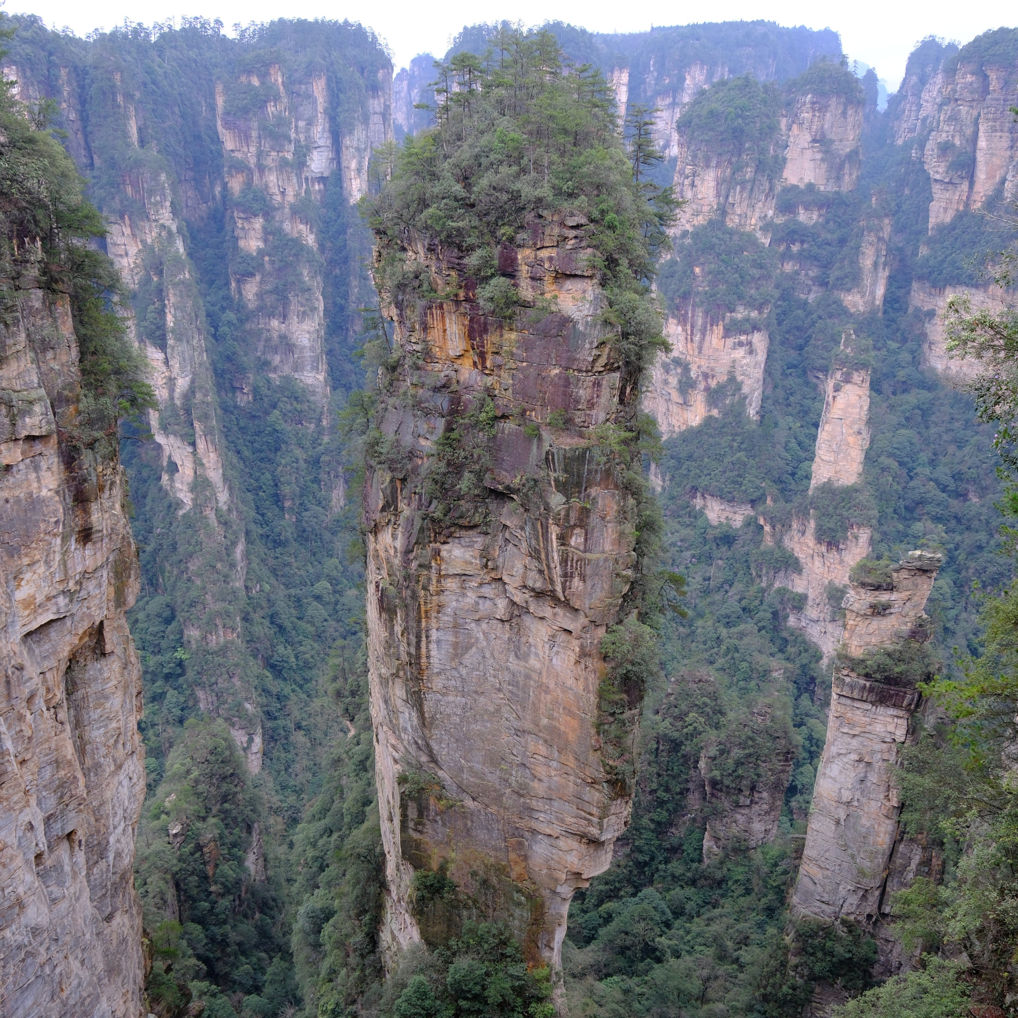 Cina