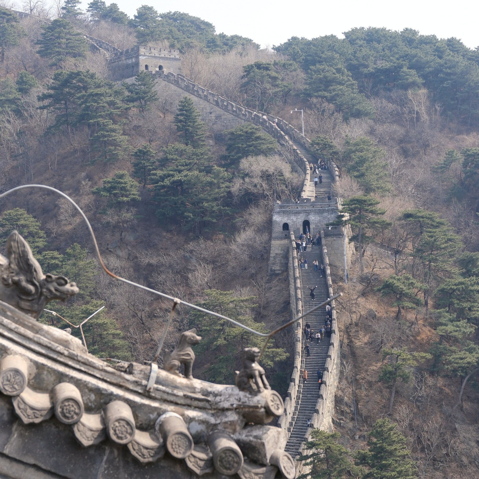 Cina